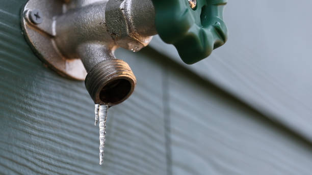 Best Leak Detection Services  in Bottineau, ND